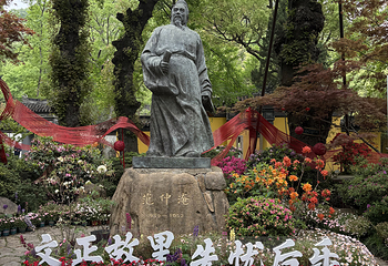 天平山第 63 张图片