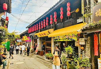 都江堰景区第 237 张图片