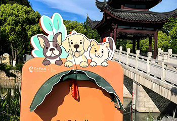 亭林园第 18 张图片