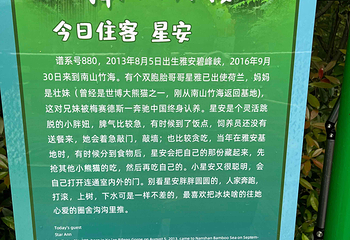 天目湖南山竹海第 145 张图片
