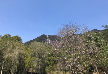 白水寨风景名胜区第 71 张图片