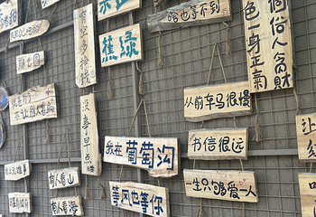 葡萄沟第 41 张图片