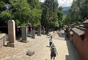 嵩山少林景区第 146 张图片