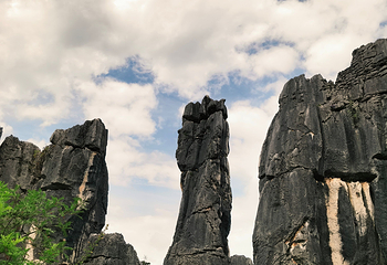 石林风景区第 168 张图片