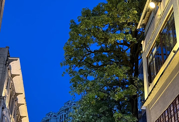 汕头老城第 14 张图片
