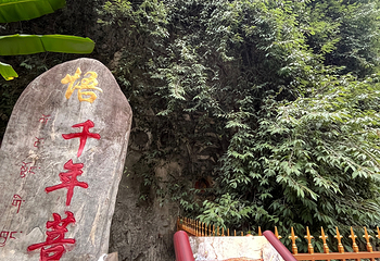 香格里拉巴拉格宗风景名胜区第 183 张图片