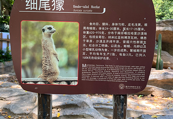 重庆动物园第 83 张图片