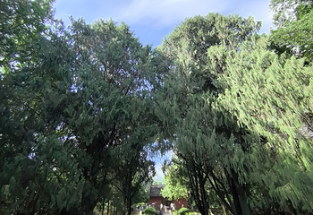 钟山风景名胜区第 187 张图片