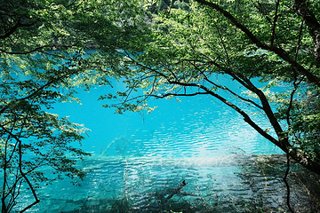 九寨沟风景区第 190 张图片