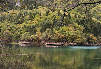 九寨沟风景区第 556 张图片