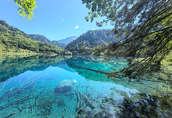 九寨沟风景区第 104 张图片
