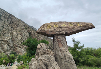 贺兰山岩画第 65 张图片