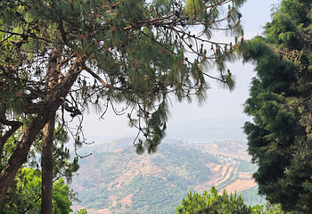 锦屏山风景区第 110 张图片
