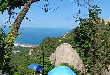 崂山风景区第 220 张图片