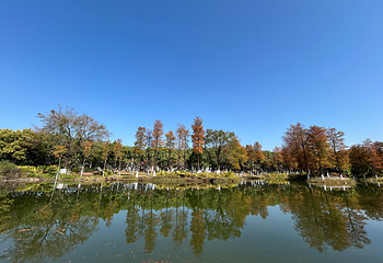 青秀山第 117 张图片