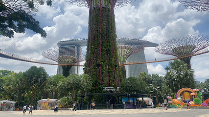 新加坡滨海湾花园第 158 张图片