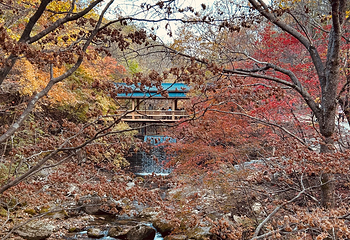本溪老边沟风景区第 98 张图片