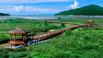海陵岛红树林国家湿地公园-观景台