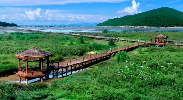 海陵岛红树林国家湿地公园-观景台