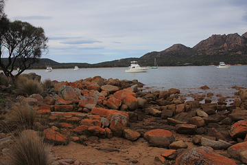Coles Bay Jetty第 11 张图片