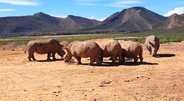 Aquila Private Game Reserve