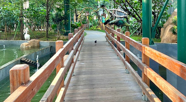 雅加达鸟类乐园