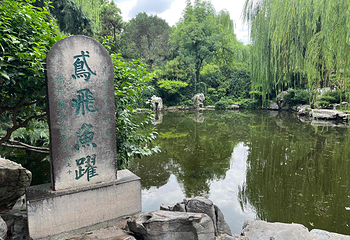 趵突泉景区第 87 张图片