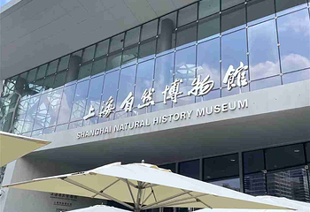 上海自然博物馆第 101 张图片