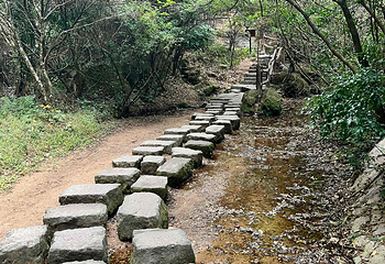 武夷山国家公园第 102 张图片