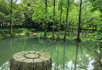 兰亭景区第 78 张图片
