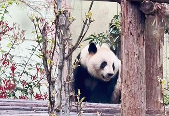上海动物园第 155 张图片