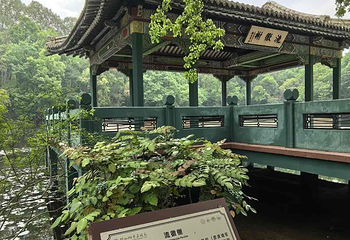 钟山风景名胜区第 98 张图片