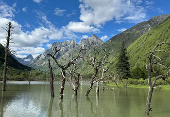 四姑娘山双桥沟景区第 72 张图片