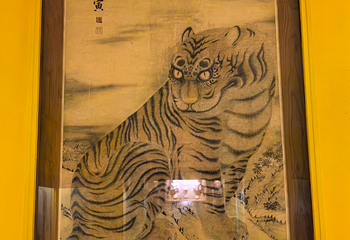 美国自然历史博物馆第 103 张图片