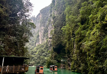张家界大峡谷第 102 张图片