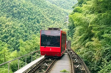 天目湖南山竹海第 149 张图片