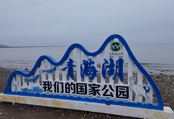青海湖景区第 175 张图片