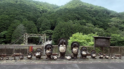 岚山嵯峨野观光小火车第 20 张图片