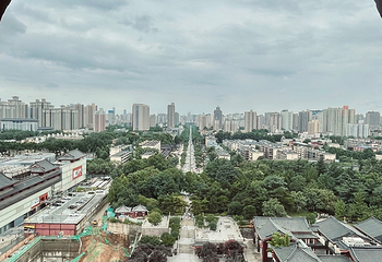 大雁塔第 161 张图片