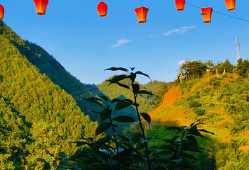 望仙谷第 158 张图片