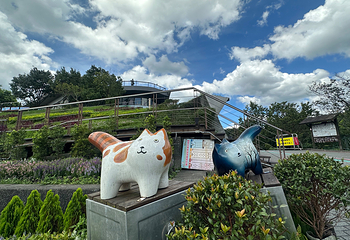 猫空缆车第 21 张图片