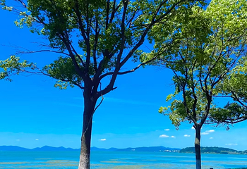 太湖西山岛第 5 张图片