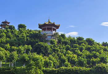 三亚南山文化旅游区第 75 张图片