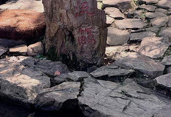 兰亭景区第 166 张图片