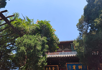 白马寺第 61 张图片
