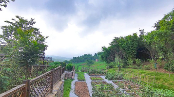 田园牧歌·锋味雲·稻田餐厅