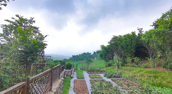 田园牧歌·锋味雲·稻田餐厅