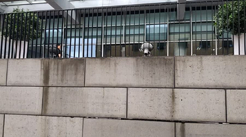 达州图书馆-南区