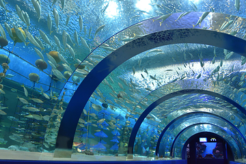 浅虫水族馆第 3 张图片