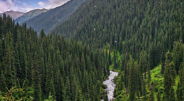 Bulak Say Horseback and Trekking